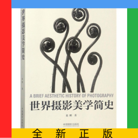 世界摄影美学简史