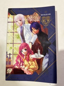 偷星原著小说 星耀苍穹3