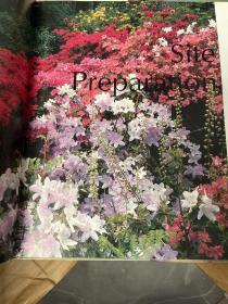 RHODODENDRONS AND AZALEAS