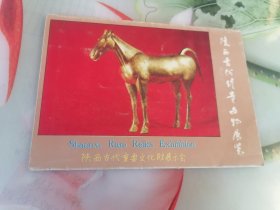 陕西古代珍贵文物展图片
