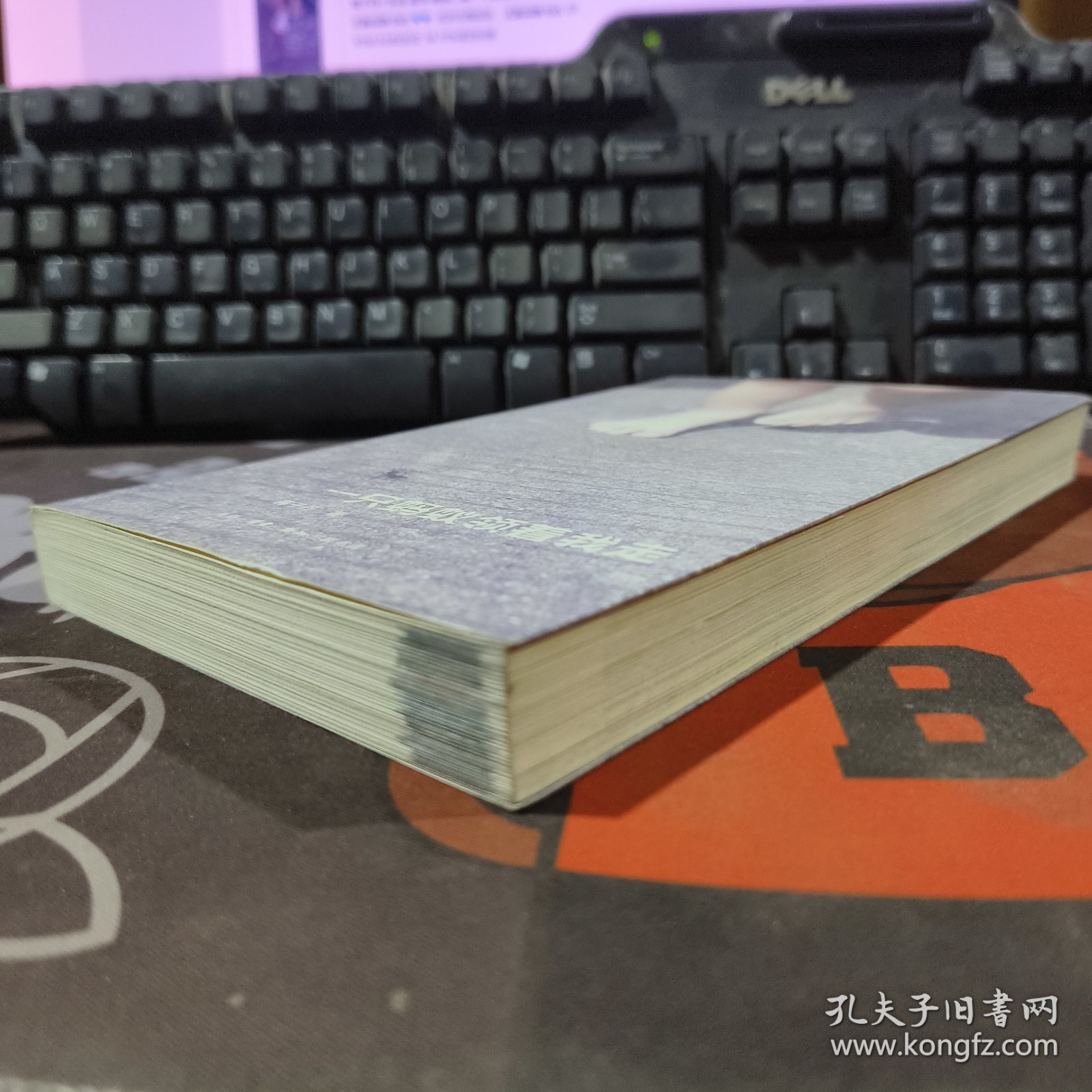 一只蚂蚁领着我走（一版一印）