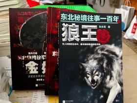 东北秘境往事 3册全