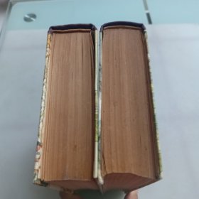 金瓶梅词话（上下册）