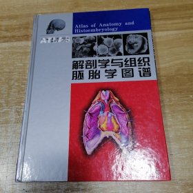 解剖学与组织胚胎学图谱