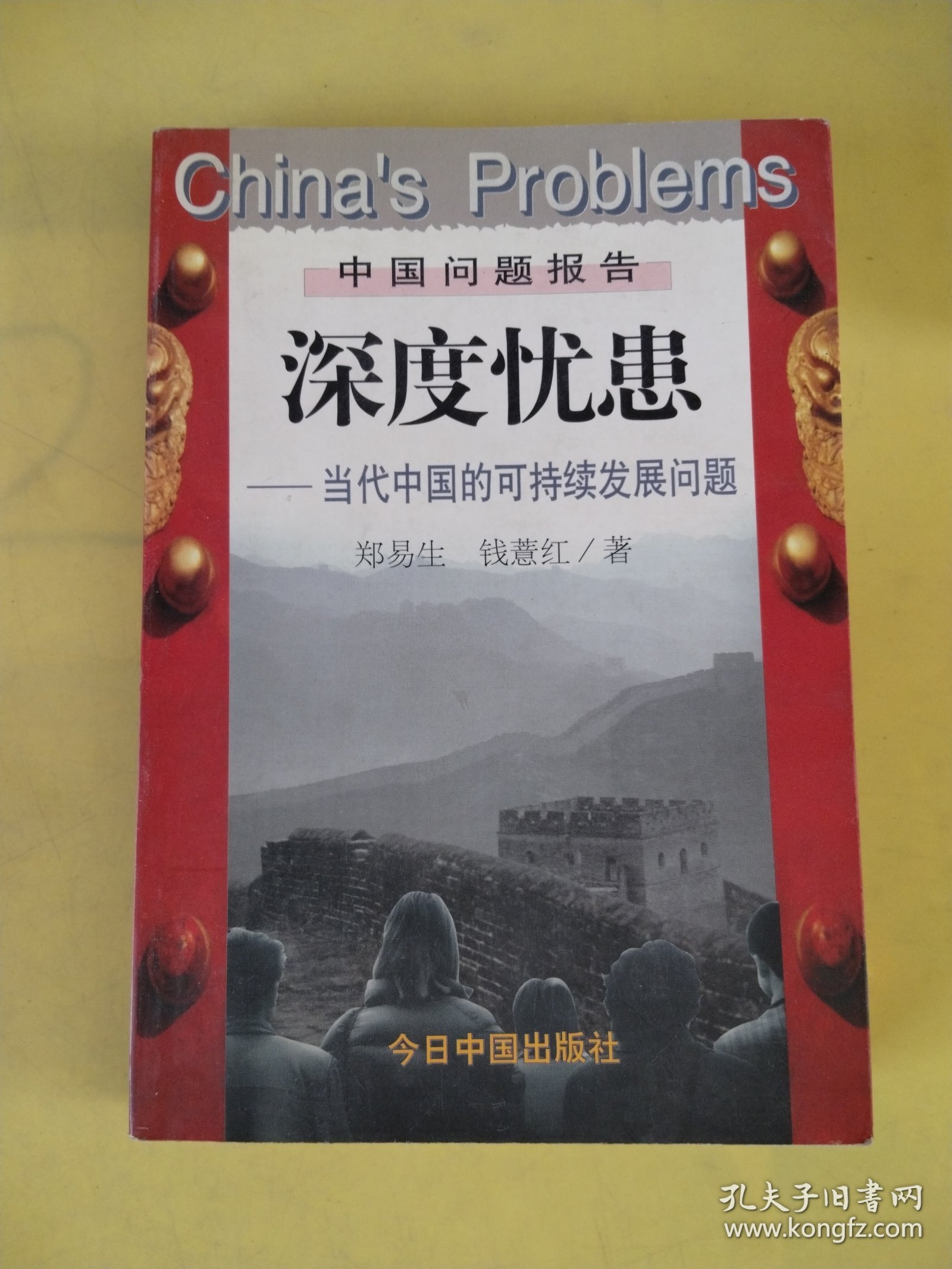 深度忧患:当代中国的可持续发展问题（有写画）