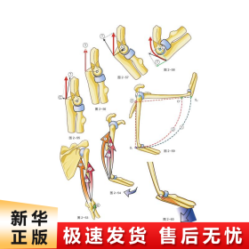 骨关节功能解剖学:第一卷上肢（原书第7版）