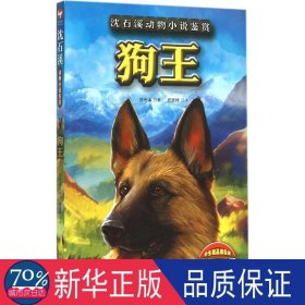 王 儿童文学 沈石溪  新华正版