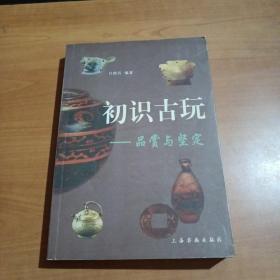 初识古玩：品赏与鉴定