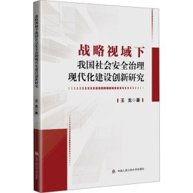 战略视域下我国社会安全治理现代化建设创新研究