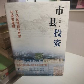 市县投资：下沉区域经济发展与投资逻辑（读懂中国市县，才能读懂中国！一书洞悉中国市县治理与投资模式，探索市县投资新机遇！）