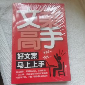 文案高手：好文案马上上手