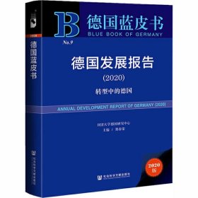 德国发展报告(2020) 转型中的德国 2020版