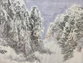 徐志学  黄山瑞雪