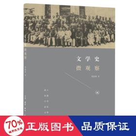 文学史微观察(精) 古典文学理论 李洁非