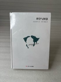 哲学与智慧（台湾经典译本引进，叔本华著）