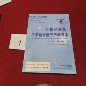 计量经济学：半参数计量经济学方法——经济与金融高级研究丛书