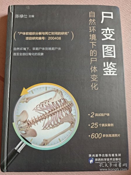 尸变图鉴：自然环境下的尸体变化