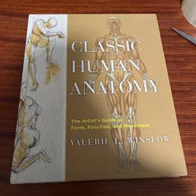 Classic Human Anatomy：The Artist's Guide to Form, Function, and Movement