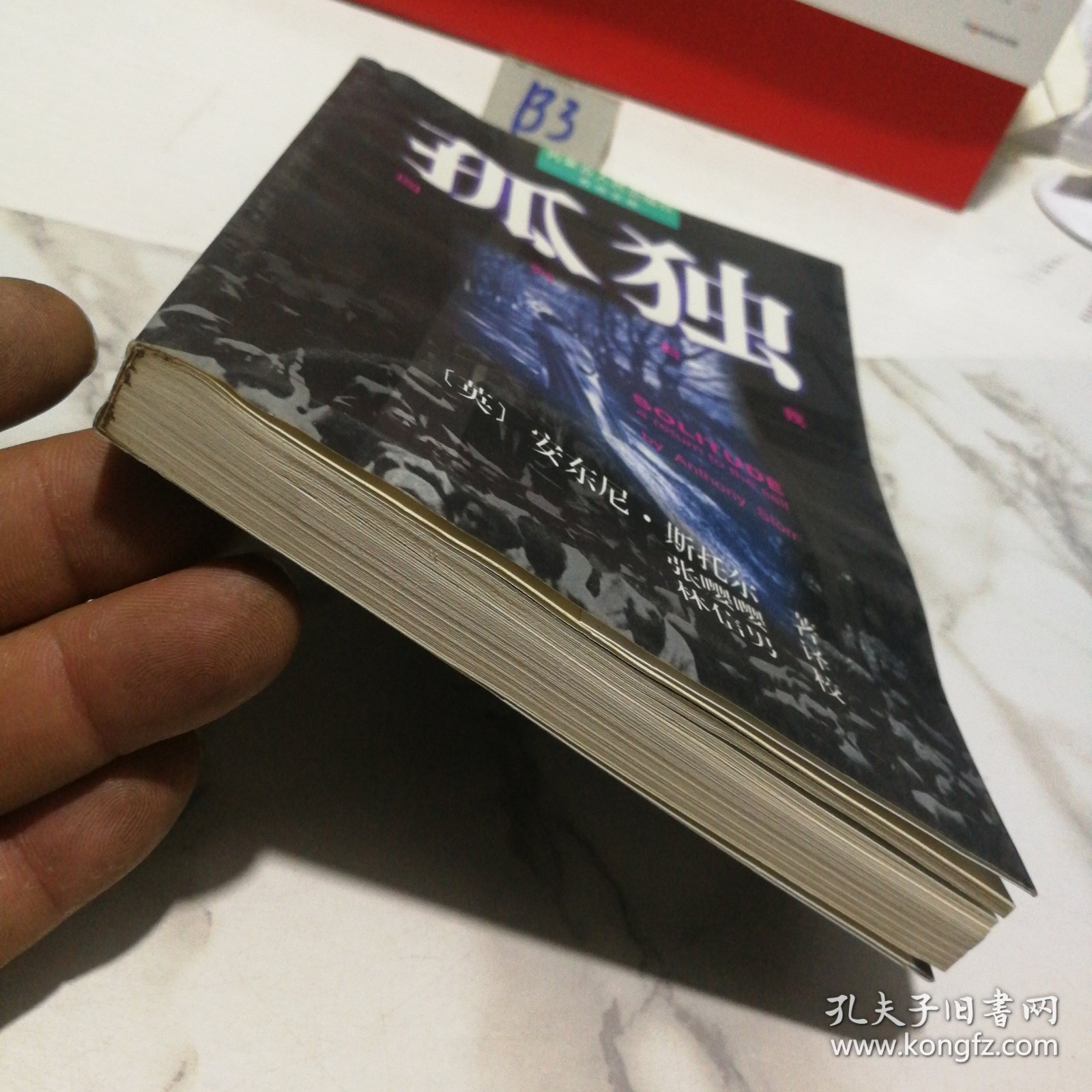 孤独：回归自我（一版一印）