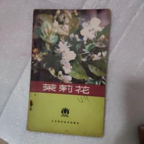 茉莉花