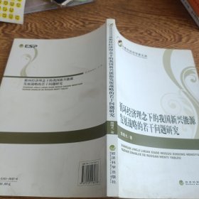 中青年经济学家文库：循环经济理念下的我国新兴能源发展战略的若干问题研究