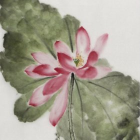 原创荷花荷塘画R8539名家花鸟画手绘真迹，中式淡雅风格竖幅客厅、书房、卧室、餐厅、茶室、玄关、门口写意窄条国画