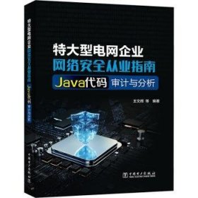 {正版现货新书}特大型电网企业网络安全从业指南:Java代码审计与分析