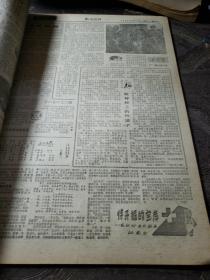 老报纸。鹤城晚报合订本（1987年3月份）