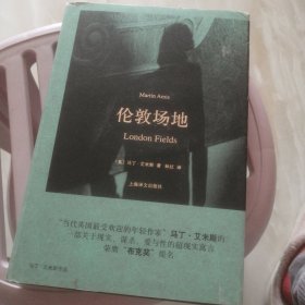 马丁·艾米斯作品：伦敦场地