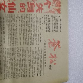 苍松特刊