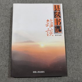 县委书记杂谈