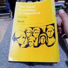 thesocialpsychologyoforganizing