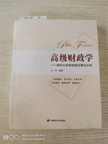 高级财政学：现代公共财政前沿理论分析