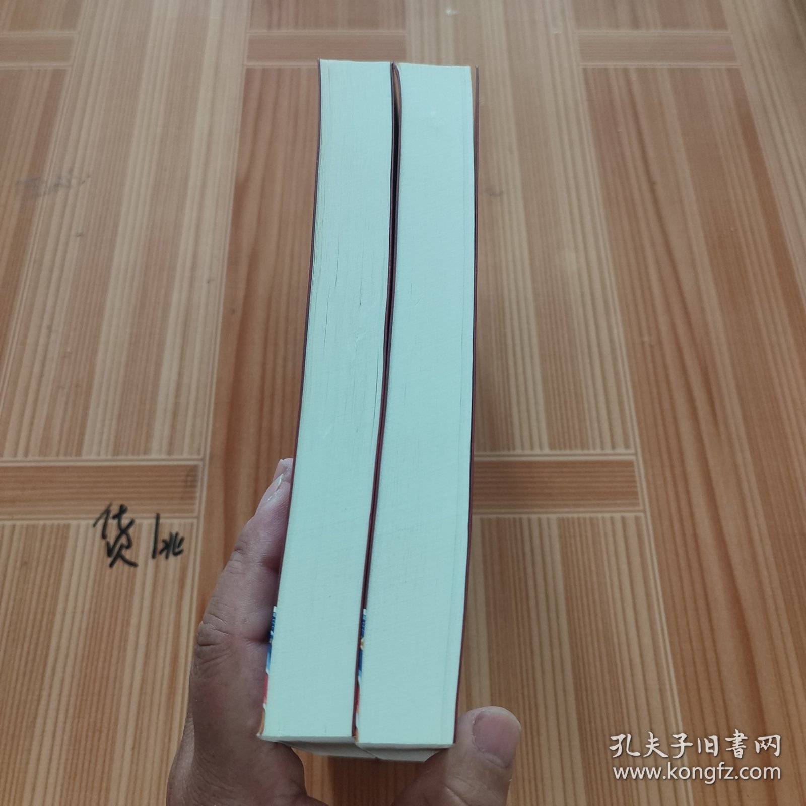 康熙传（全2册）