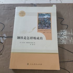 统编语文教材配套阅读 八年级下：钢铁是怎样炼成的/名著阅读课程化丛书