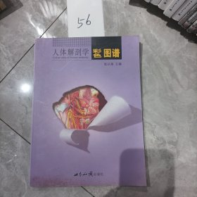 人体解剖学彩色图谱