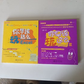 你早该这么玩Excel（1.2）2册合售