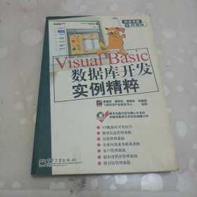 Visual Basic数据库开发实例精粹——开发专家之数据库