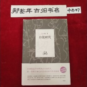 白银时代：王小波集