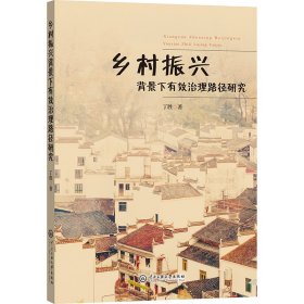 乡村振兴背景下有效治理路径研究 9787566022257 丁胜 中央民族大学出版社