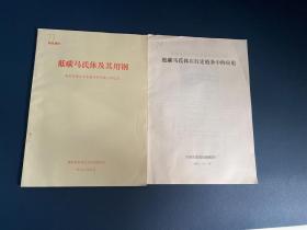 低碳马氏体在行走链条中的应用、低碳马氏体及其用钢（2本合售）