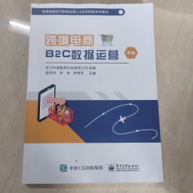 跨境电商B2C数据运营（中级）