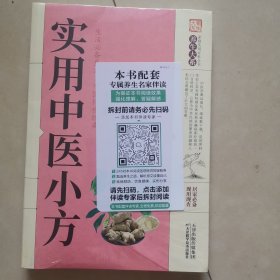 实用中医小方（平装）