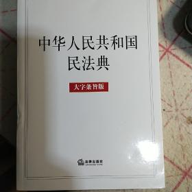 中华人民共和国民法典（大字条旨版）2020年6月