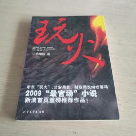 长篇小说 玩火 2009“最官场”小说