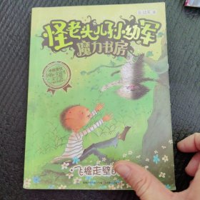 怪老头儿孙幼军魔力书房--飞檐走壁的猫