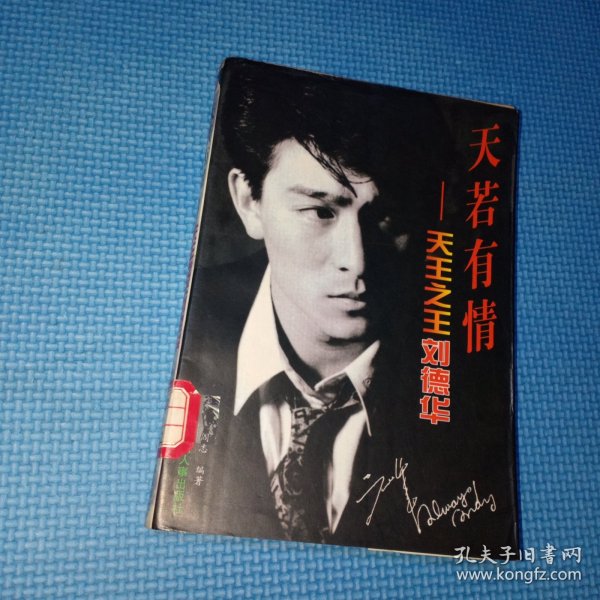 天若有情 天王之王刘德华