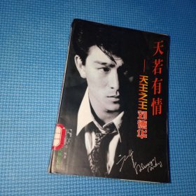 天若有情 天王之王刘德华