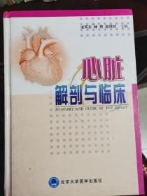 心脏解剖与临床