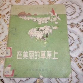 在美丽的草原上